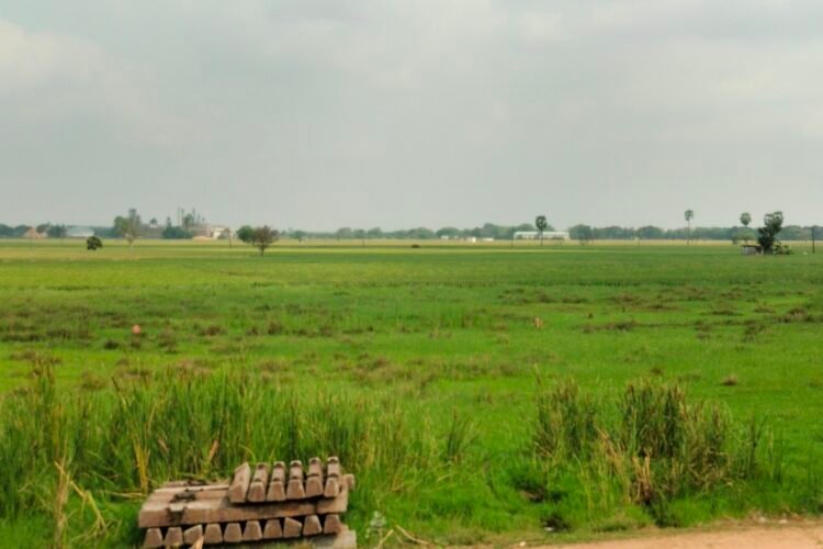 Nuzvid Emerging as an Agri & Industrial Growth Hub in Andhra Pradesh