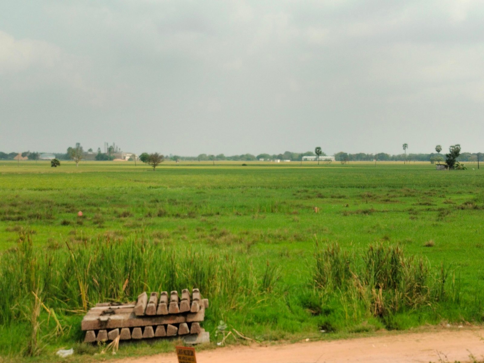 Nuzvid Emerging as an Agri & Industrial Growth Hub in Andhra Pradesh