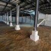 Premium commercial building available for rental in Nellore